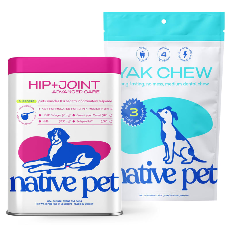 Native Pet Joint Strength & Dental Wellness Pack: Hip & Joint Supplement for Dogs - Supports Joints, Cartilage, Muscles & Anti-Inflammatory & 3 Medium Yak Cheese Himalayan Dog Chews Dental Sticks