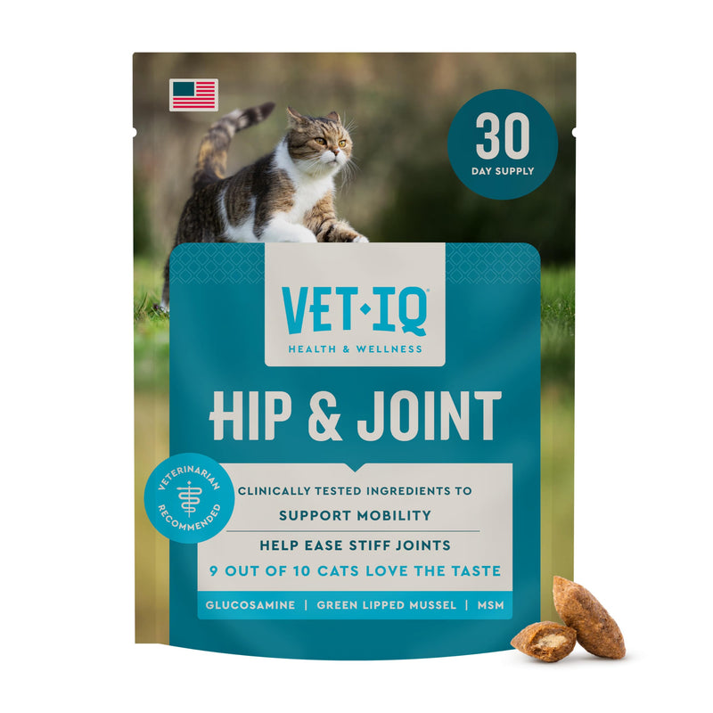 VetIQ Hip & Joint Supplement for Cats, Chicken Flavored Joint Health Supplement with Glucosamine and Green Lipped Mussel for Mobility and Arthritis Support, 3.7oz Standard Strength - 3.7oz