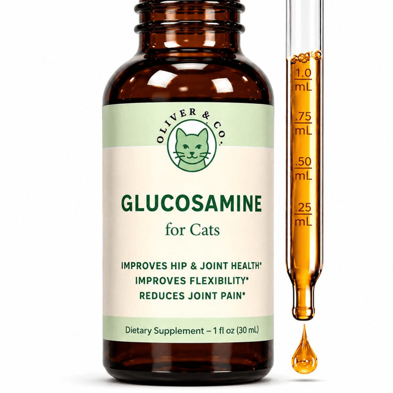 Glucosamine for Cats - Cat Glucosamine - Chondroitin - Supports Joint Health, Mobility, Skin & Coat, & Much More - Cat Joint Supplement - Joint Supplement for Cats - 1 fl oz - Roast Chicken Flavor