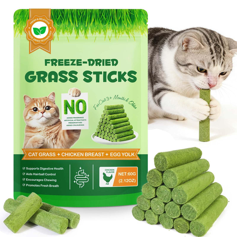 60g Cat Grass Stick, Freezed Dried Cat Grass Sticks Snacks for Teeth Cleaning and Hairball Removal, Natural Chicken Flavored 2.11 Ounce (Pack of 1)