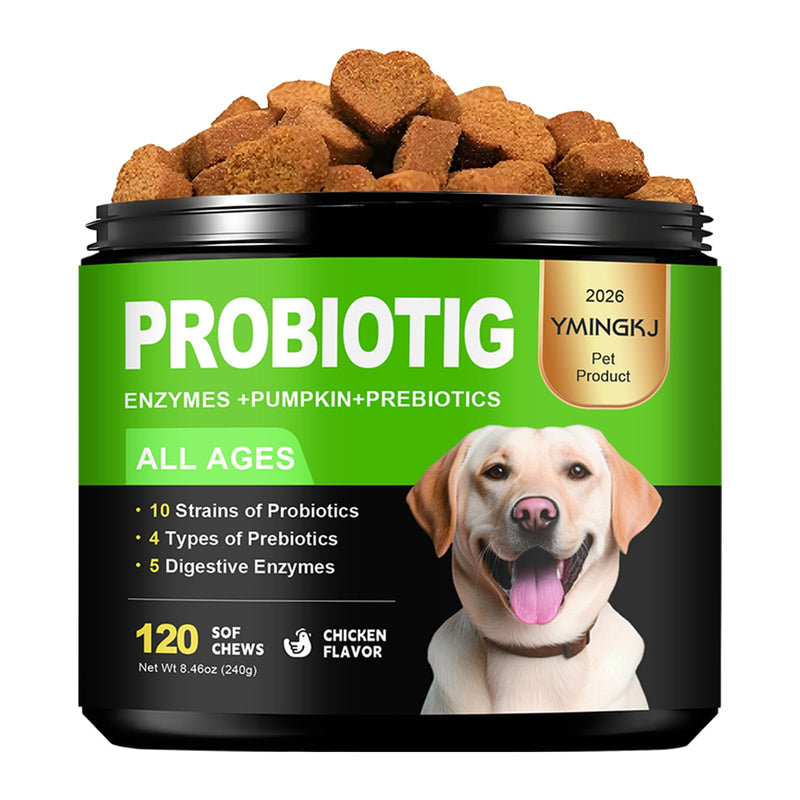 Probiotics for Dogs - Dog Probiotics & Enzymes – 12 Billion CFU 10 Strains, Psyllium Husk, Apple Cider Vinegar – Gut Health, Bloating Relief, Regularity Support – 120 Chews