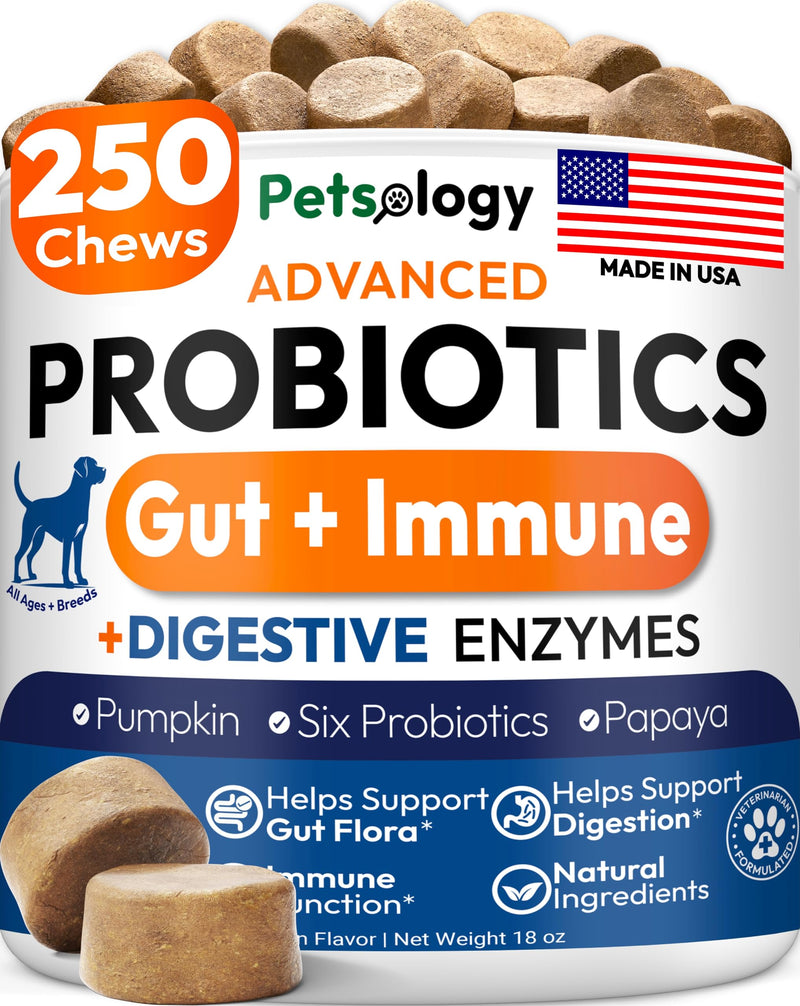 Probiotics for Dogs - 250 Dog Probiotics Chews - Digestive Enzymes & Prebiotics - Support Gut Health, Diarrhea, Gas & Constipation Relief - Itchy Skin, Allergies, Yeast Balance - Advanced Supplement 250 Chews Probiotic Chews