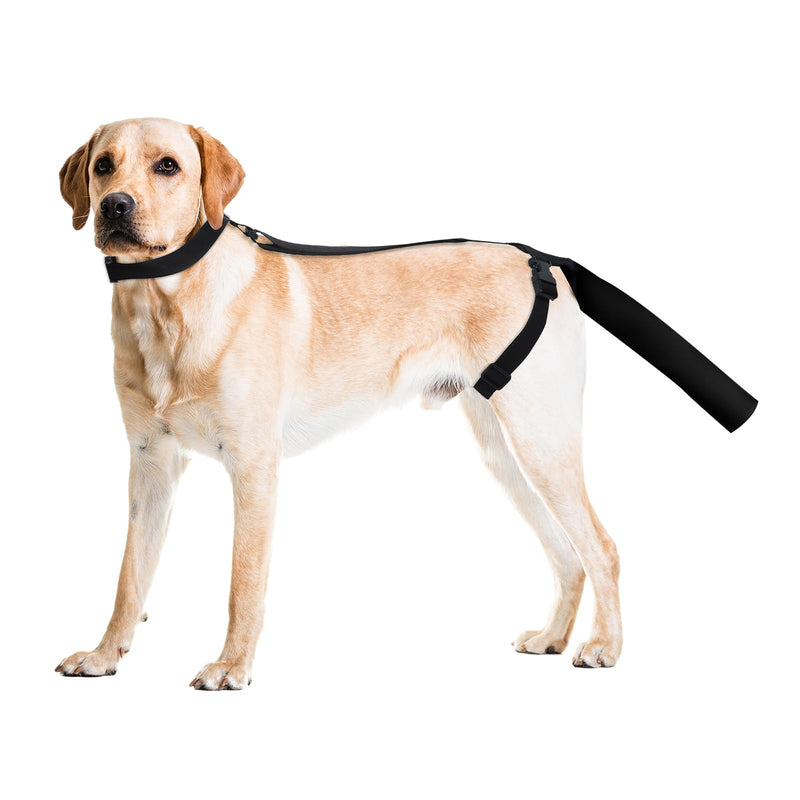 OHCOZZY Dog Tail Protector for Wounds, Adjustable Dog Tail Protector Sleeve for Medium and Large Dogs, Anti Licking(M,Black)