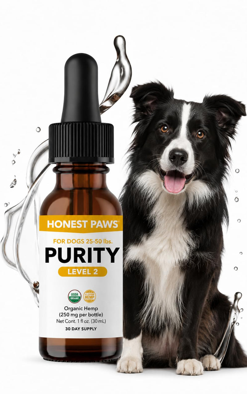 Honest Paws Hemp Oil for Dogs - Natural Hemp Seed Oil Drops Rich in Omega 3 6 9 - May Help Support Calm Behavior, Physical Comfort & Overall Wellness - Made in USA Level 2