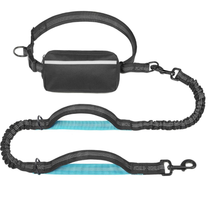 Hands Free Dog Leash with Zipper Pouch, Dual Padded Handles & Durable Bungee Dog Leash for Walking, Jogging, Running and Hiking - BeesActive Australia