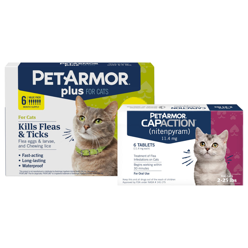 PetArmor Plus Cat, 6ct + PetArmor CapAction Cat, 6ct Treat and Prevent Bundle – Fast Acting and Long Lasting Flea and Tick Care