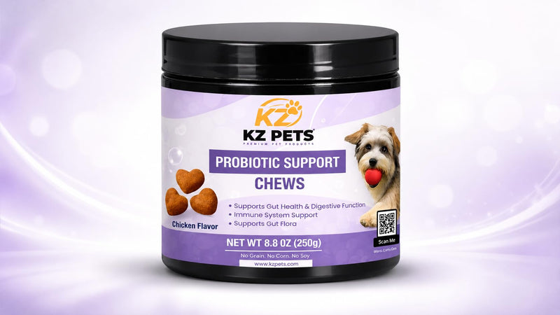 Probiotic Support Chews for Dogs – 6 Billion CFU 5-Strain Dog Probiotic with Prebiotics & Digestive Enzymes – Gut Health, Digestive Support & Immune Support Supplement – 100 Soft Chews