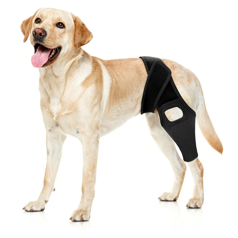Jorme Dog Knee Brace for Torn ACL, Dog Leg Brace for Post-Surgery Recovery, Arthritis & Luxating Patella,Side Stabilizers, Breathable Neoprene, Adjustable Velcro & Belly Band,Front/Rear Legs (M) M