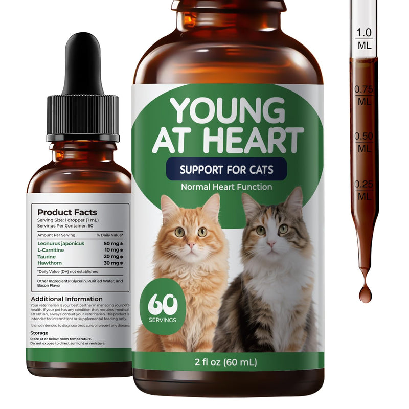 Young Heart Support for Cats – Taurine, L-Carnitine & Hawthorn Liquid Drops for Heart Function & Daily Vitality, Herbal Cardiovascular Support for Cats, Easy Daily Supplement, 2 fl oz