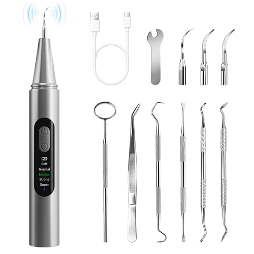 Plaque Remover for Teeth - Teeth Cleaning Kit Tartar Remover for Teeth with LED Light & 5 Adjustable Modes, USB C Rechargeable, 4 Replaceable Heads&6 Dental Tools, IPX7 Waterproof for Home Use