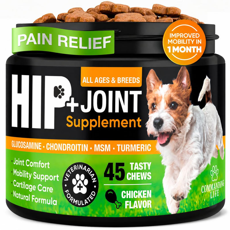 Glucosamine for Dogs – Hip and Joint Supplement Chews for Small, Medium & Large Dogs – Joint Pain & Mobility Support – Soft Chews for Pain and Inflammation Relief, 45 Chews