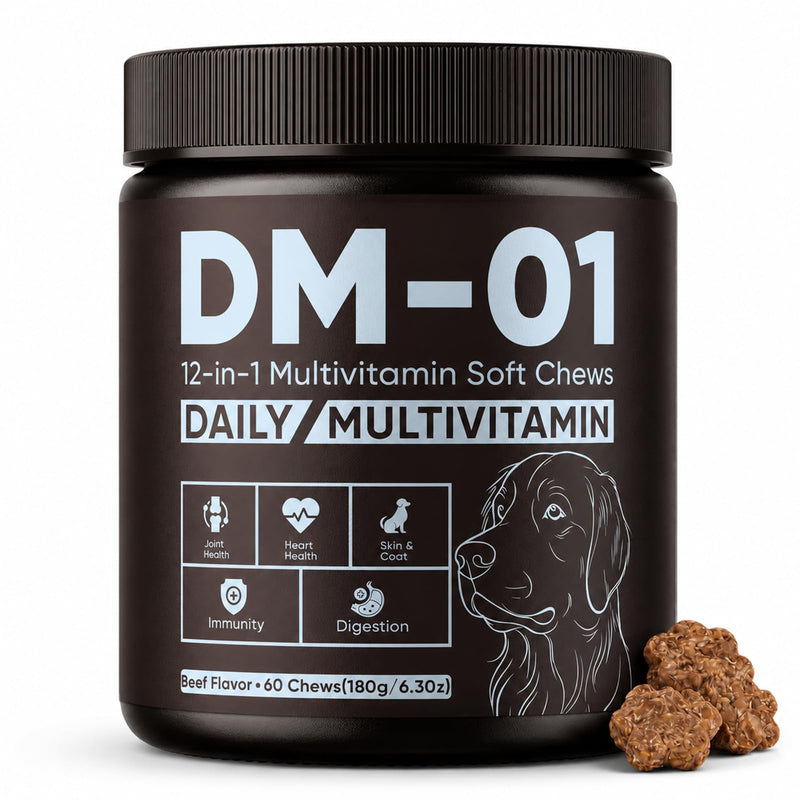 Daily Multivitamin for Dogs, Multivitamin Itch Relief Chews with Folic Acid, Salmon Oil, Probiotics & Vitamins, Skin and Coat Healthy, Gut Health & Boost Immunity, Beef Flavor, 60 Chew (1) 1