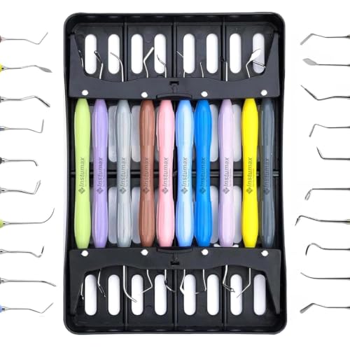 Dental Composite Placement Filling Instruments Set – Silicone Handle Restoration Plugger/Spatula – Resin Application & Tooth Restoration Kit/Black Cassette