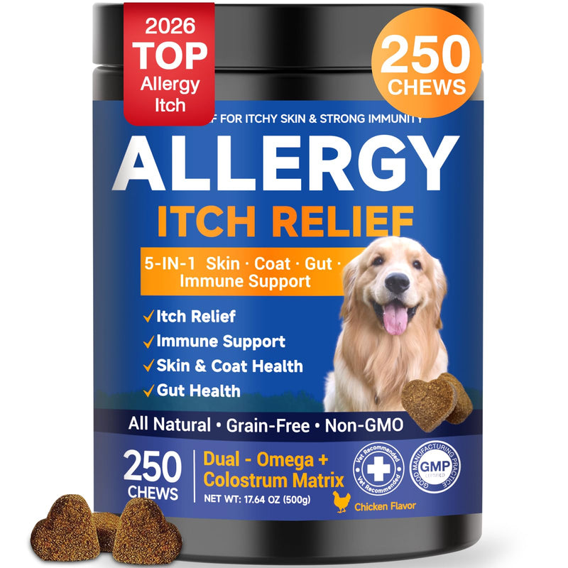 Dog Allergy Chews,is Omega 3 Human,Anti Itch Relief for Dogs Itching Skin Relief and Aller Immune Pet Multivitamin Allergy Chews Coat Licking Supplement Pills Meds Treats 250 Bites for Dogs 2 g/capsule 250pcs
