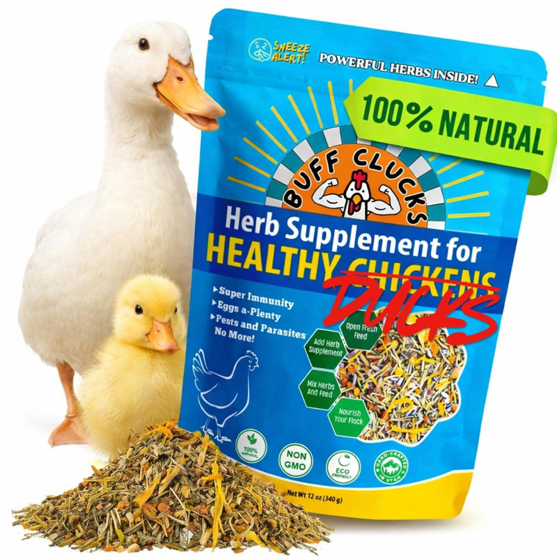 Buff Clucks Herb Supplement for Ducks - Natural Waterfowl Treat, Botanical Duck Feed Additive, Plant-Based Flock Support for Egg Production, Feather Health & Daily Wellness, Handcrafted in USA (12 oz)