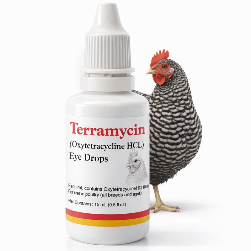 Chickens Eye Care Drops for Chickens, Ducks & Birds – Improve the Eye Health – Improve Egg Quality – Supports Clear Vision & Healthy Eyes – 15 mL (0.5 fl oz)