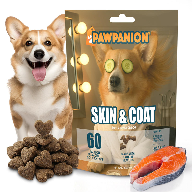 Skin & Coat Soft Chews for Dogs, Omega Fish Oil + Biotin + Vitamin E, Healthy Skin & Shiny Coat Support, Anti Shedding Formula, 60 Soft Chews Salmon Flavor Skin & Coat
