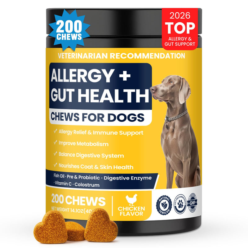 Dog Allergy Chews Probiotics for Dogs Yeast, Itchy Skin and Itchy Ears Itch Relief Immune Pre Probiotic Chews for Pet Digestive Gut Health Anti Itch Supplement for Itching and Licking Dogs Allergies Chicken