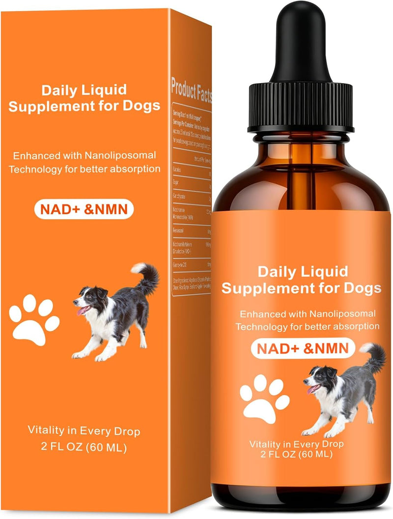 An amber glass dropper bottle and matching orange box for a dog supplement labeled 'Daily Liquid Supplement for Dogs' with 'NAD+ & NMN' and a dog illustration on the packaging.