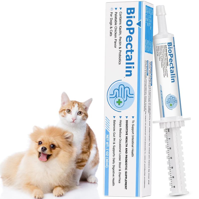 Anti-Diarrheal Paste for Dogs & Cats | Savory Chicken Flavor | Natural Digestive Support with Kaolin, Pectin & Probiotics | Firms Loose Stool & Soothes Upset Stomach | 30ml