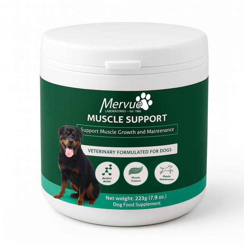 Mervue Dog Muscle Supplements – Targeted Nutritional Dog Vitamin Powder to Support Hind Leg Stability – L-Carnitine, BCAAs, & Vitamin B Complex for Dogs – 250g Jar, Multi Size Dosing for All Breeds