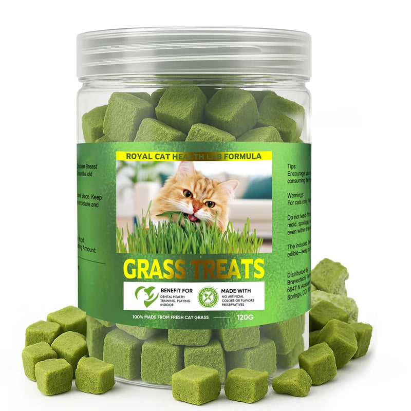 AiRunTech 120g Cat Grass Treats, Cat Grass for Indoor Cats, Fun Daily Snack for Interaction, Pet-Safe Wheatgrass Kit 1 Count (Pack of 1)