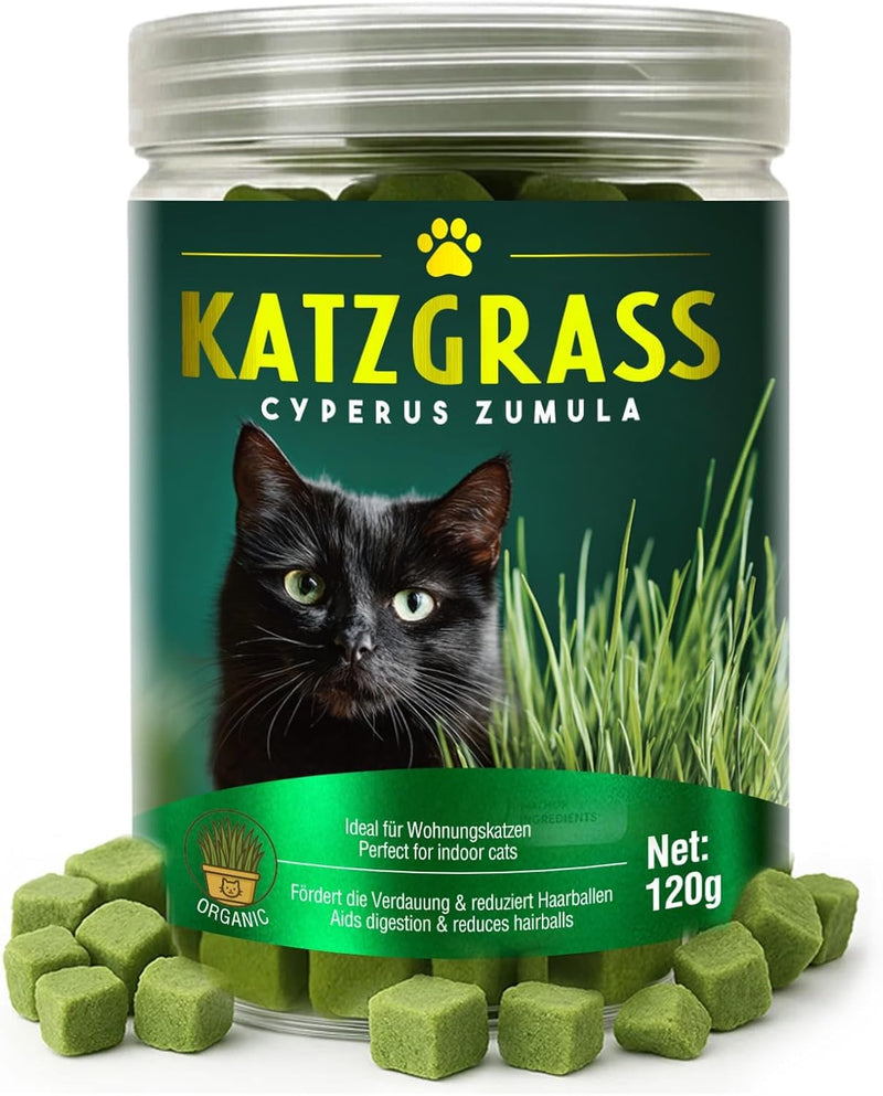 Cat Grass Treats for Indoor Cats | Salmon & Catnip Dental Snacks | Hairball Control & Teeth Cleaning | Freeze-Dried Training Rewards
