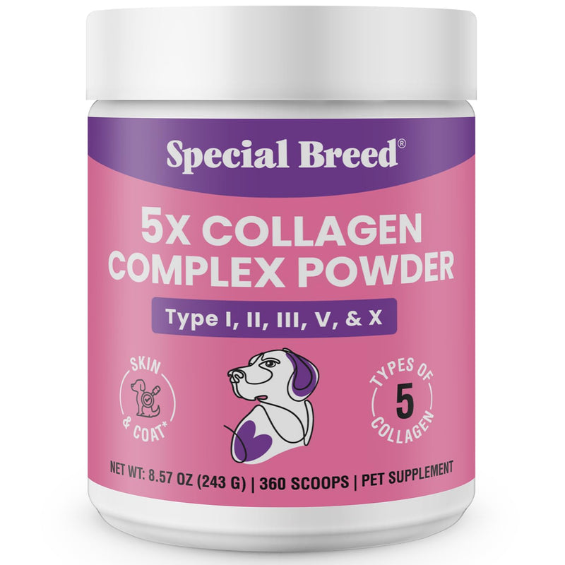 Premium 5X Collagen Powder for Dogs - Types I, II, III, V & X - Skin, Join, Gut & Coat Support - Collagen Powder with Bamboo & Vitamin C, 180 Scoops 8.57 oz 8.57 Ounce