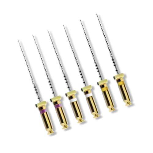 ApexDrive NiTi Glide Path Files 25 mm Sizes #13–19 Assorted, Pack of 6 25MM #13-19 Assorted