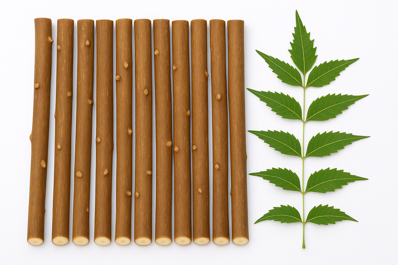 Natural Ayurvedic Half Dried Neem Datun Sticks, Natural Neem Twigs for Manual Tooth Cleaning, Wooden Chew Sticks, Traditional Brushing Alternative, 6-7 Inch, Pack of 10 + 1 Free