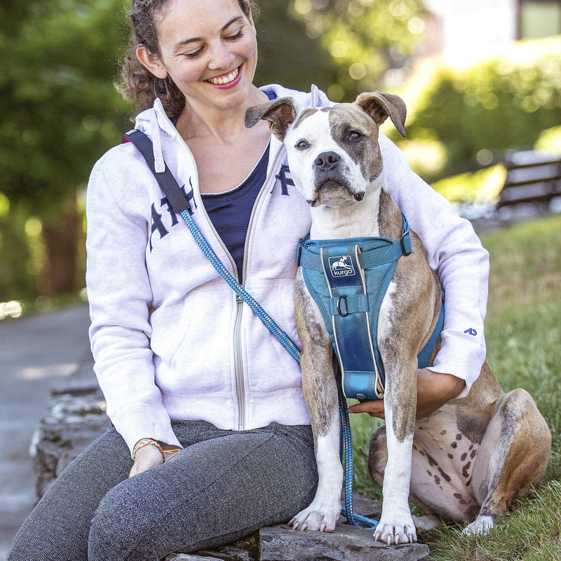Kurgo Tru-Fit Smart Harness, Dog Harness, Pet Walking Harness, Quick Release Buckles, Front D-Ring for No Pull Training, includes Dog Seat Belt Tether (Blue, Large) Blue Large (Pack of 1) - BeesActive Australia