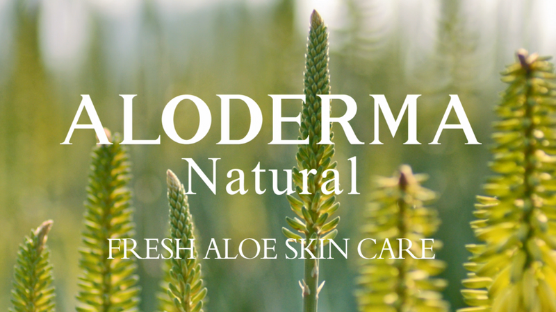 Aloderma Hydrating Facial Toner, 91% Organic Aloe + Hyaluronic Acid, 4.2 oz