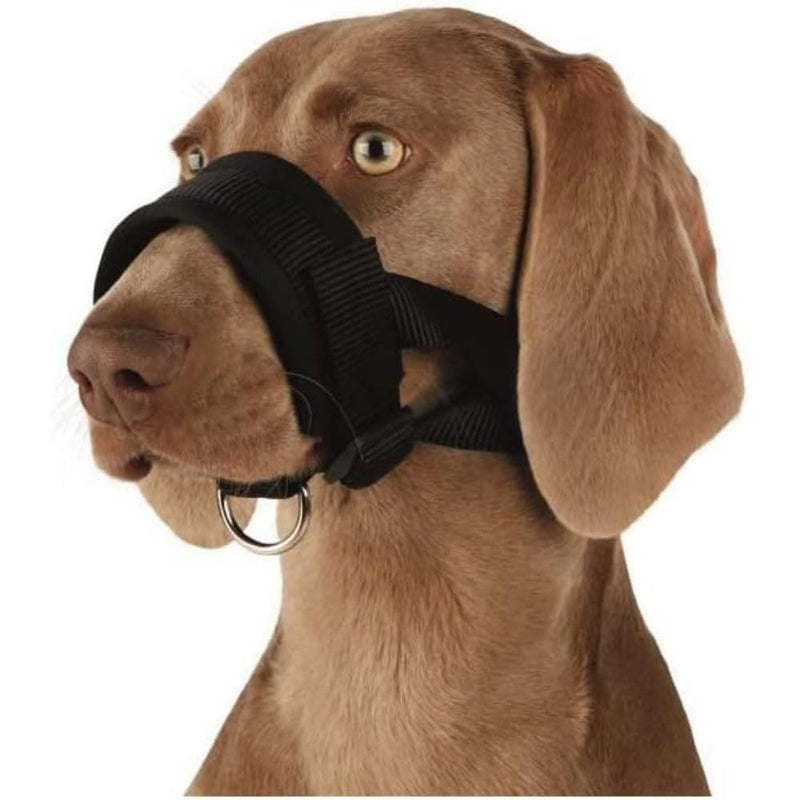 Trixie 19282 mouth loop, nylon, XL, black - BeesActive Australia