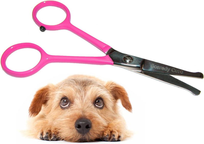 SCAREDY CUT Small Pet Grooming Scissors Tiny Trim with Round Tips - 4.5" Pink for Ear Nose Face Paw - for Cats Dogs Pets Rose - BeesActive Australia