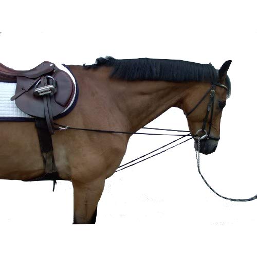 Paw-and-hoof triangle reins, Vienna reins, running reins, thoroughbred/warmblood - BeesActive Australia