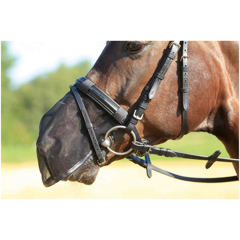 Busse Nose Protection Fly Protector Black Warmblood - BeesActive Australia