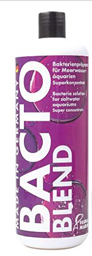 Fauna Marin Bacto Blend 500ml - BeesActive Australia