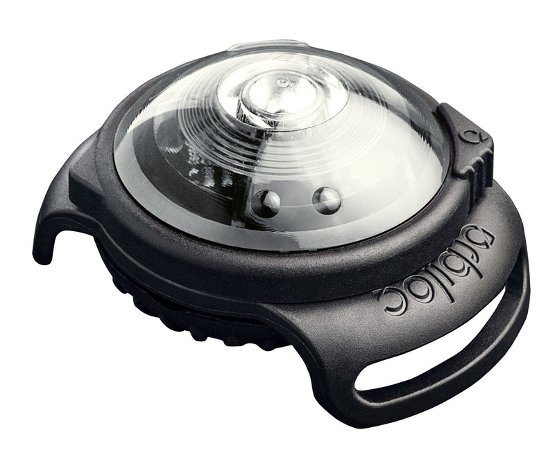 Orbiloc, safety light for dog collars white - BeesActive Australia