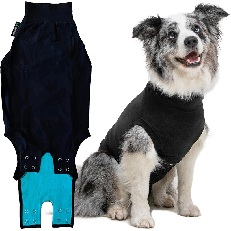 Suitical Recovery Suit Dog, S+, Black S+ - BeesActive Australia