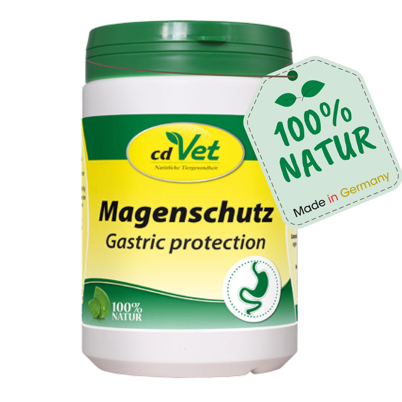 cdVet Stomach Protection 400g - Powder to promote stomach and intestinal health for dogs and cats 400 g (pack of 1) Single - BeesActive Australia
