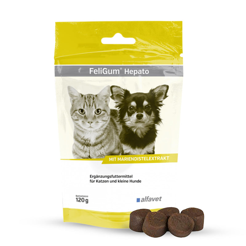 Alfavet FeliGum Hepato, supplementary food for cats and small dogs, for chronic liver insufficiency, 120g, approx. 60 chewing drops - BeesActive Australia