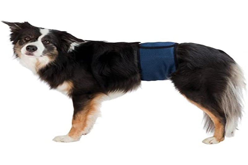 TRIXIE male bandage - S/M S-M: 37-45 cm - BeesActive Australia