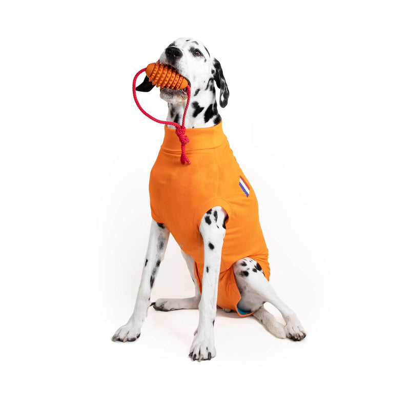 MPS Medical Pet Shirt Dog, Orange, L - BeesActive Australia