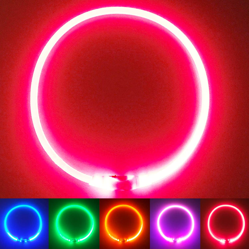 PetSol LED Dog Collar in Red - USB Rechargeable Safety Collar with Flashing Light for Dogs, Cats and Puppies - Size S, M and L - Fashionable Glow in the Dark Design - BeesActive Australia