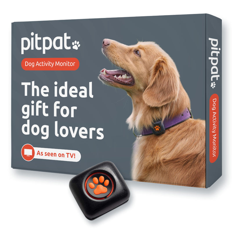 Pitpat - activity monitor for dogs - BeesActive Australia