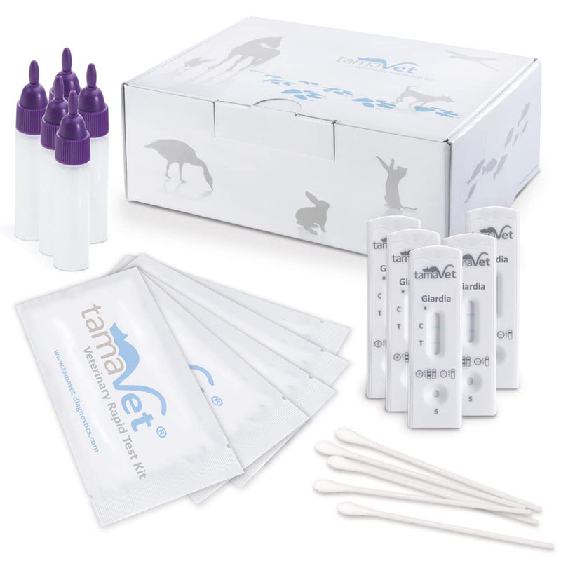tamaVet 5X Giardia rapid test for dogs and cats - Immediate certainty about your animal's health in the event of diarrhea and intestinal parasites - For detecting Giardia antigens in animal feces 5 pieces (pack of 1) - BeesActive Australia