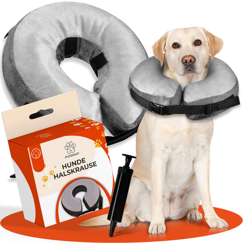 PFOTENGUT® Inflatable Dog Neck Brace Including Air Pump - Improved Neck Brace for Dogs & Cats [2023] - Premium Dog Collar - Protective Dog Collar - Leak Protection Dog M - BeesActive Australia