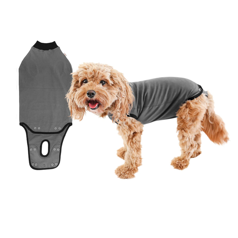 BellyGuard dog body after surgery bitch, surgical body dog castration male, leak protection for dogs after surgery, dog body surgery bitch gray S - BeesActive Australia