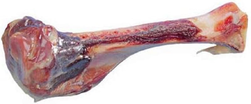 Nobby Italian ham bone for adult dogs, 1 pack (1 x approx. 220 g) 220 g (pack of 1) - BeesActive Australia