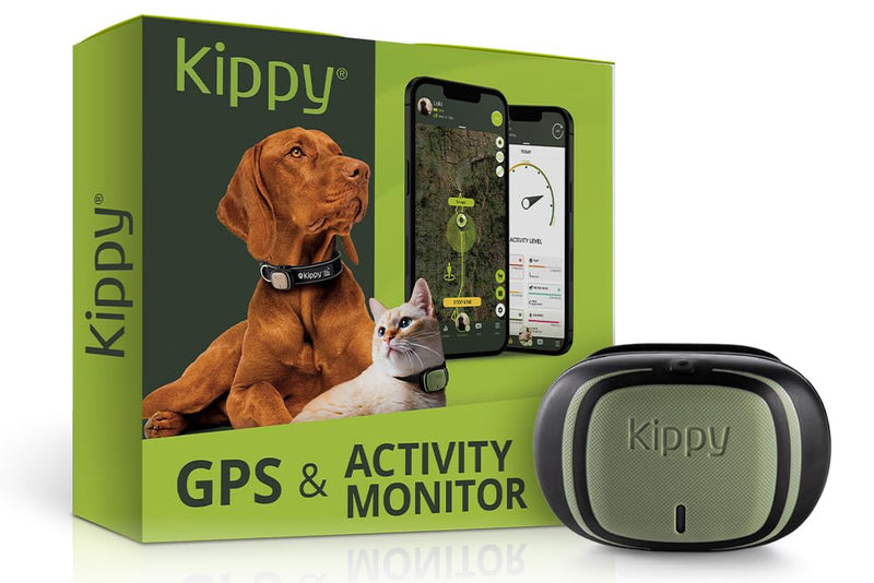 Kippy EVO GPS Dog Finder for Dogs, Water Resistant, Surround Tracking, GPS for Dogs with Dog Activity Notifications, Dedicated App, Green - BeesActive Australia
